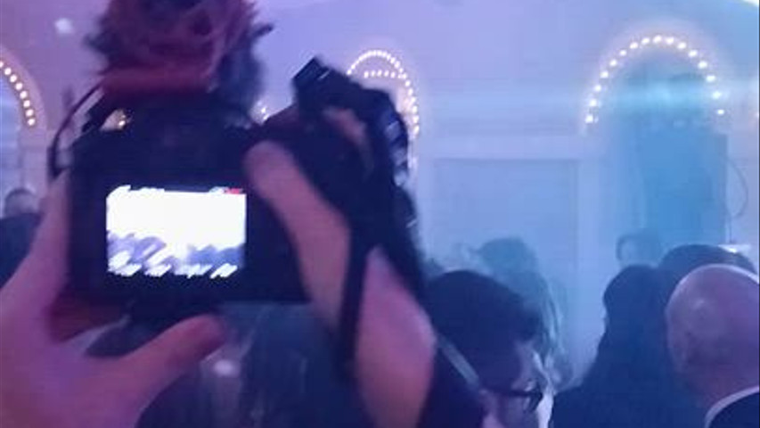 Felice Tesse Events & Crazy Live Band