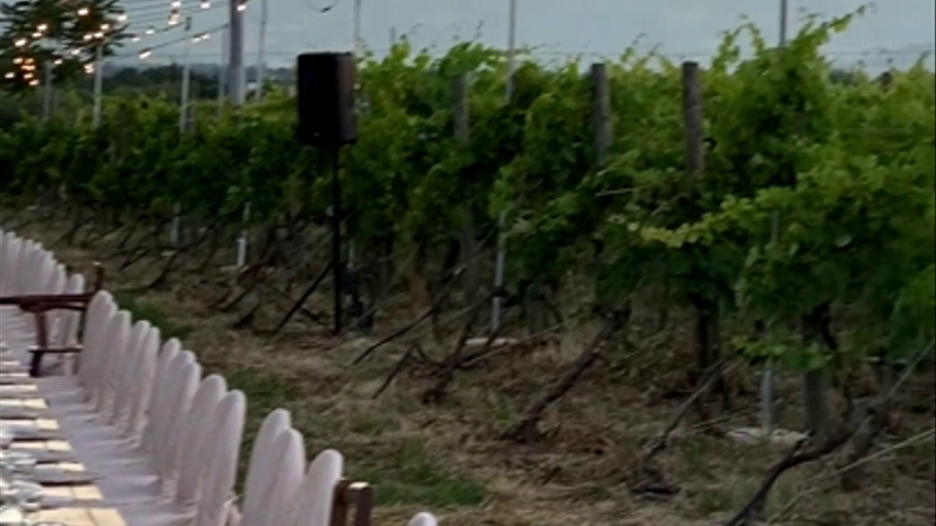 Video wedding vigneti