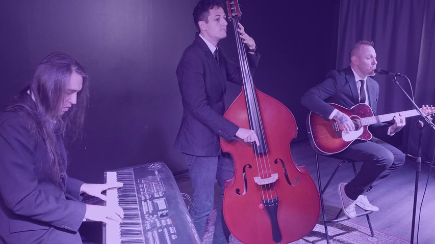 Acoustic Trio