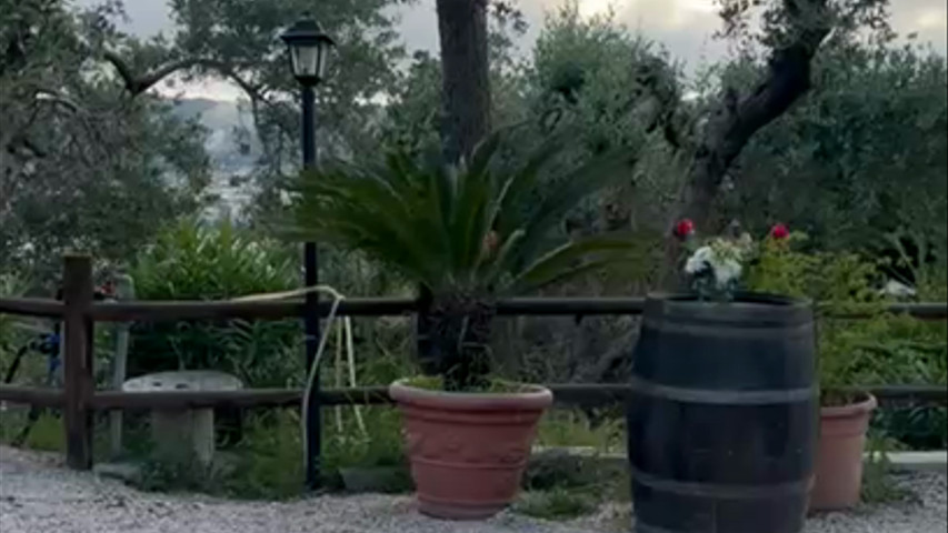 Tenuta Monte Sant'Angelo