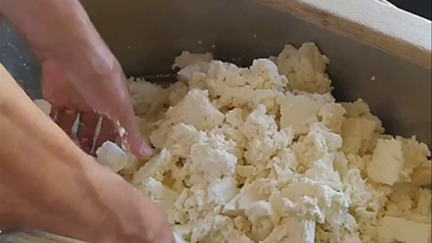 Show Cooking Mozzarelle