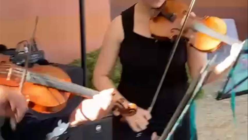 violino