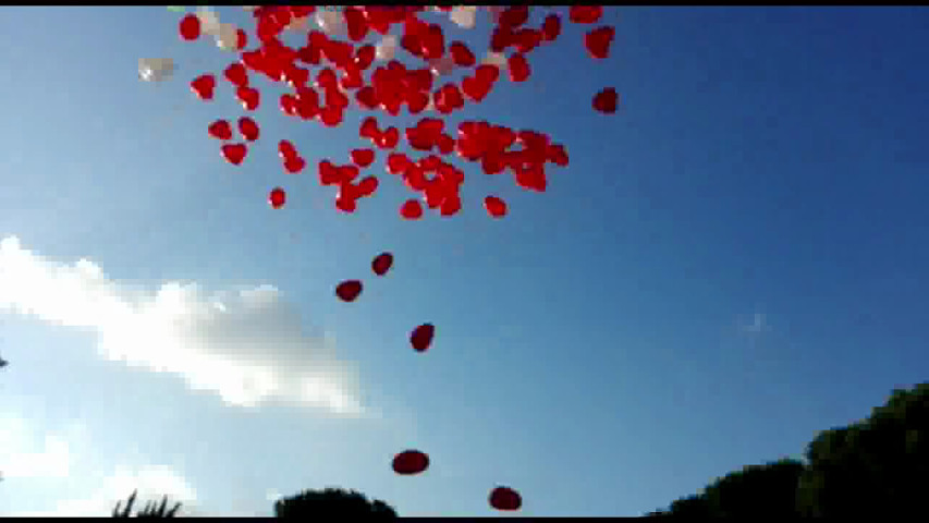 Rete con Palloncini a cuore