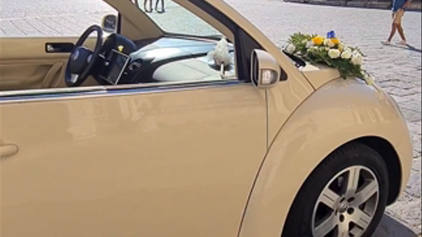Volkswagen new beetle beige luna