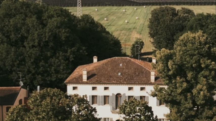 Matrimonio botanico