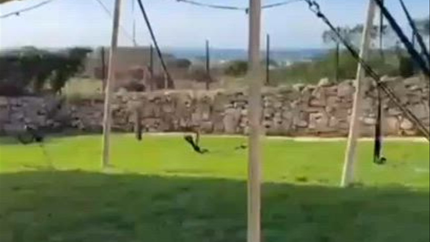 Noleggio di Tutto