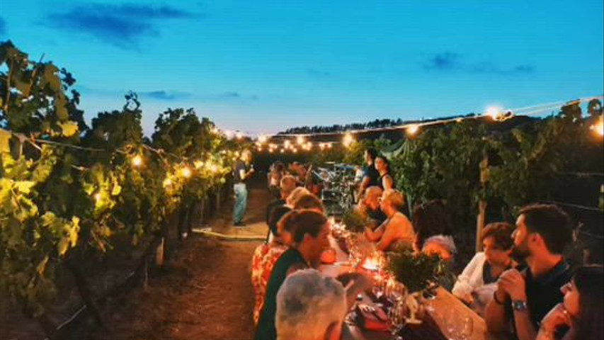 Evento in vigna 2025