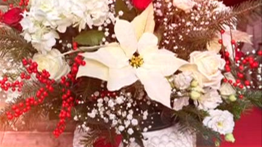 L'Angolo dei Fiori 