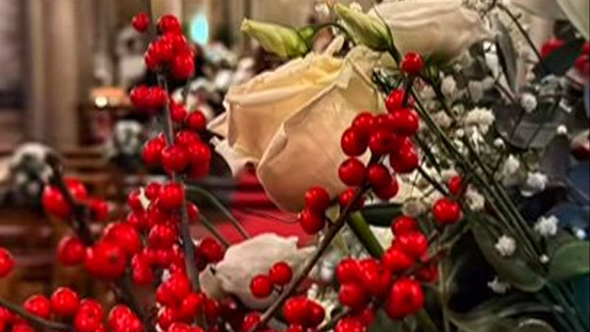 L'Angolo dei Fiori 