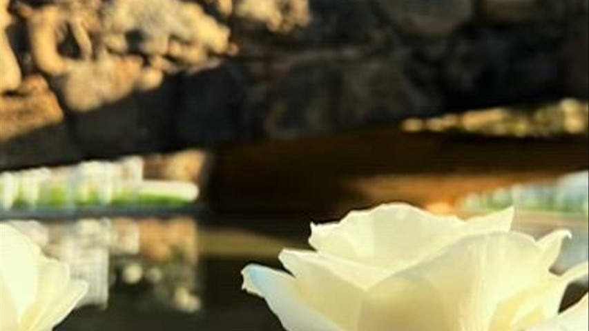 L'Angolo dei Fiori