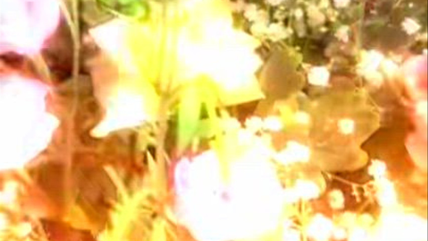 L'Angolo dei Fiori