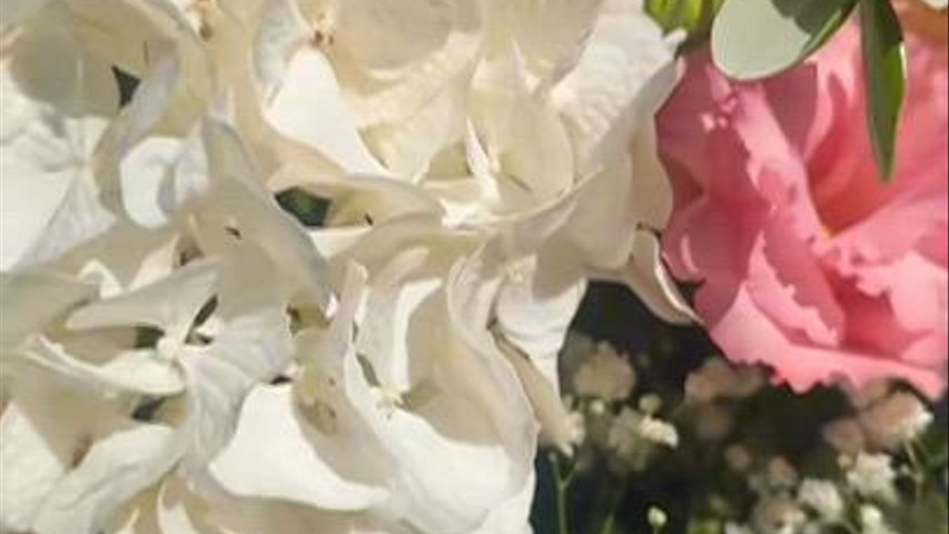 L'Angolo dei Fiori