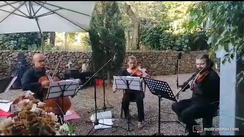 Tango por una cabeza 