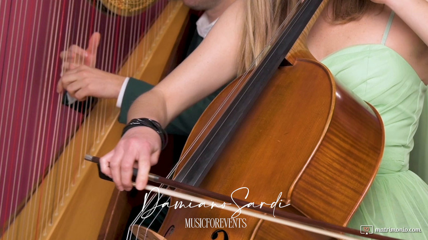 Harp and Strings for Ceremony