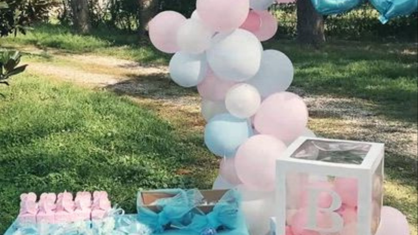 Gender Reveal Party