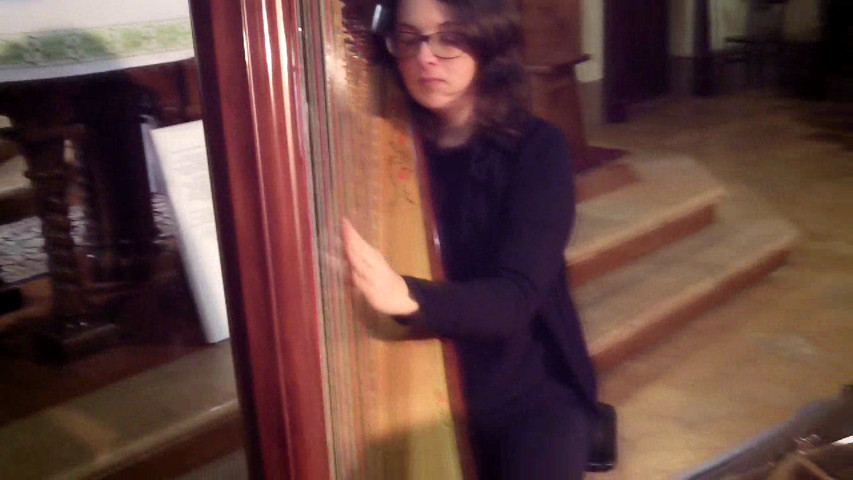 Harp for wedding