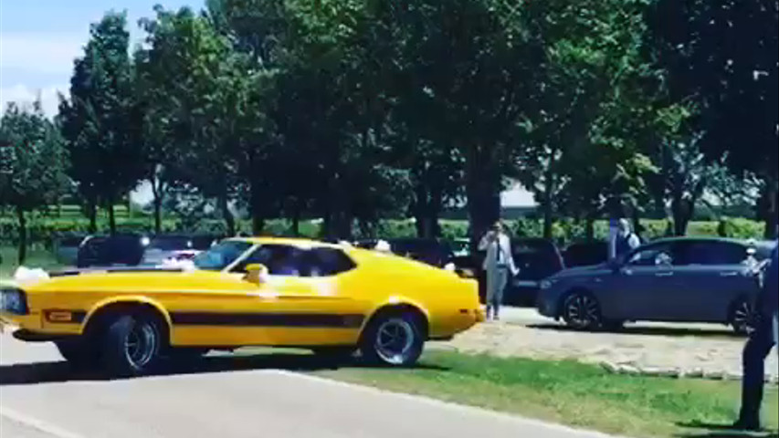 Matrimonio con mustang 