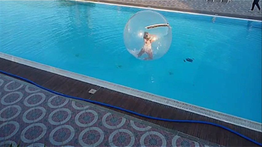 The Water Ball 