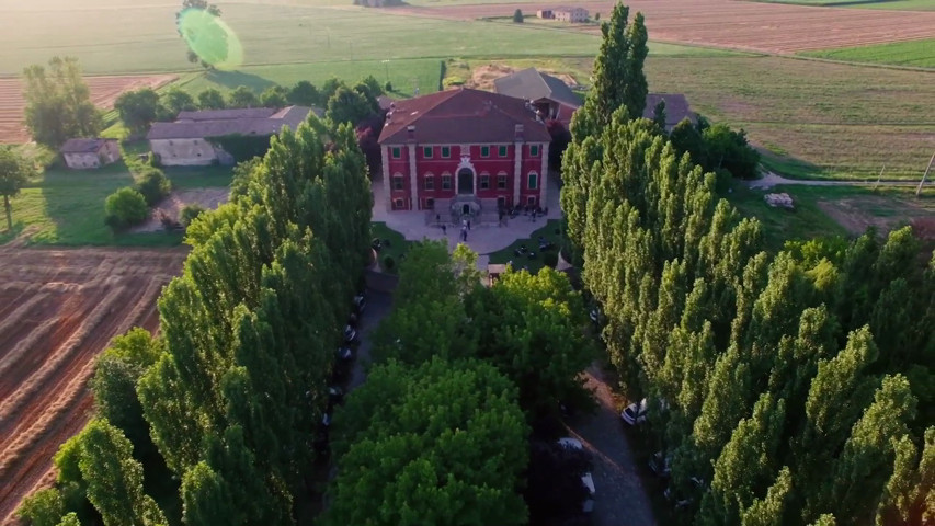 Performance artistica per matrimonio – Progetto Parolabianca