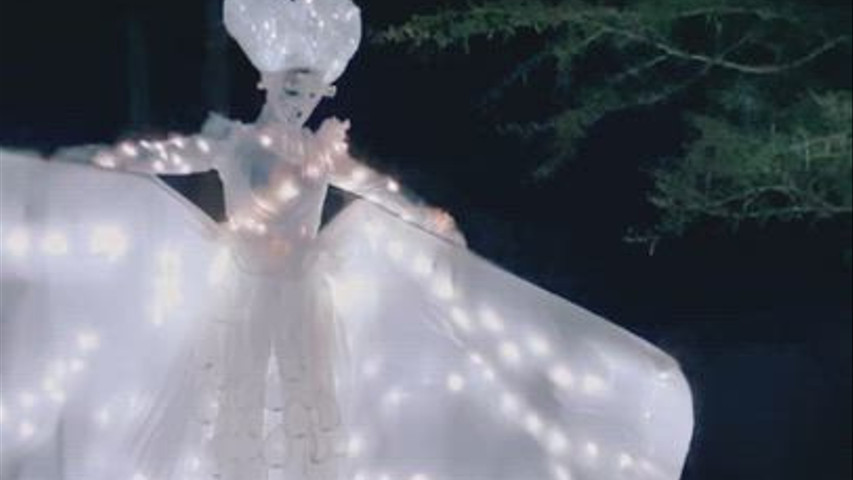 Farfalle Luminose
