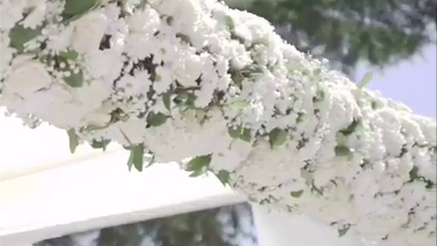 Wedding trailer 