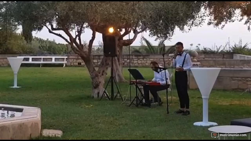 Wedding live 