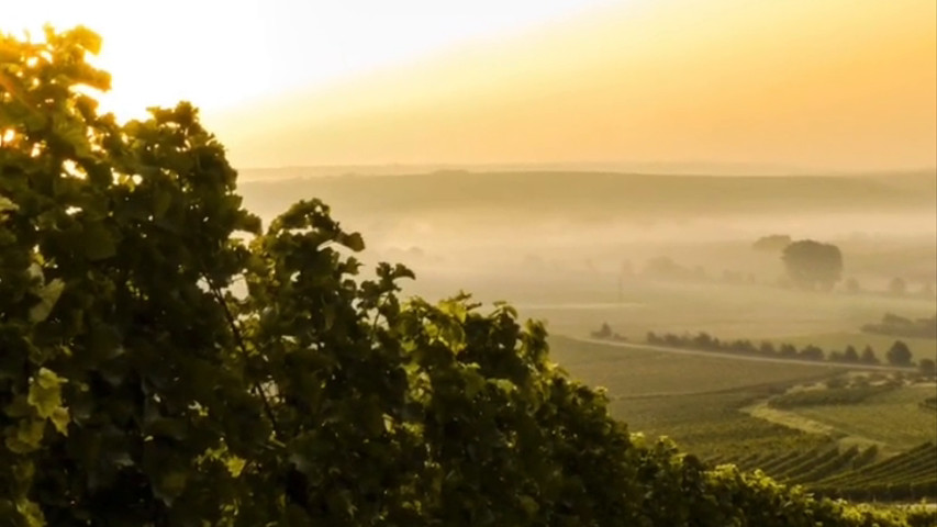 Elopement in vigna