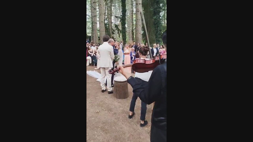 A thousand years - Violino