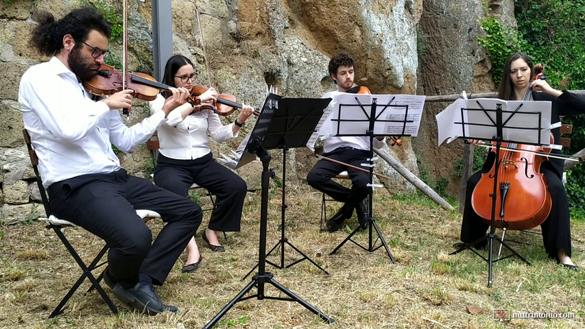 Largo dall'Inverno di Vivaldi