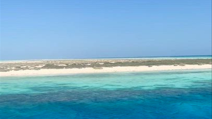 Egitto - Wadi El Gemal National Park