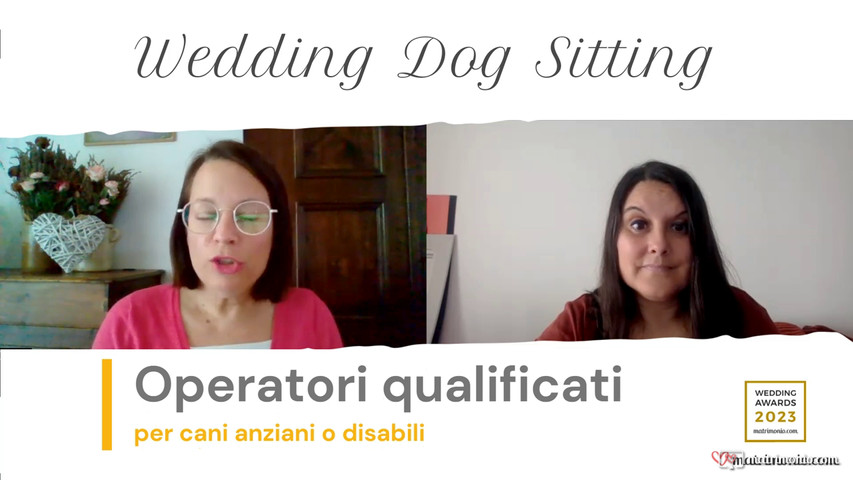 Wedding Dog Sittiing a cura de Le Cat e Dog Sitter