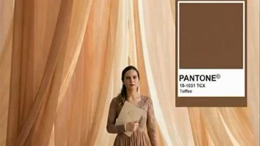 Pantone Toffee 