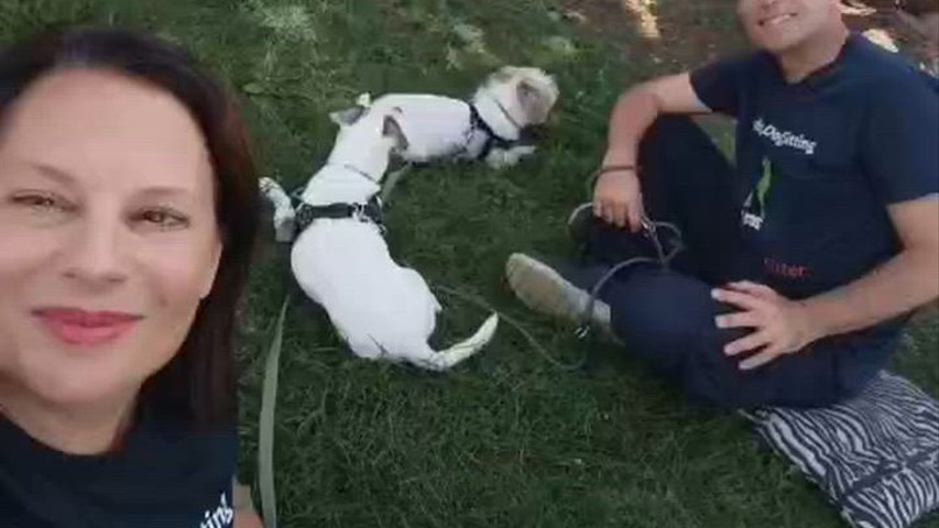 Le Cat e Dog Sitter - Wedding