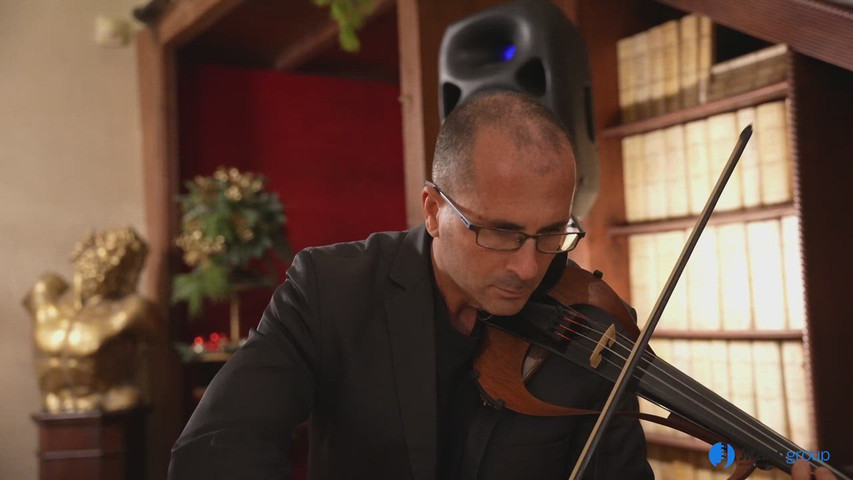Violino elettrico - Jitanogroup