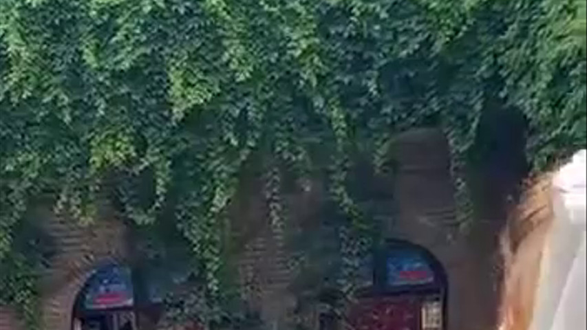 Serenata sotto al balcone di giulietta a Verona 