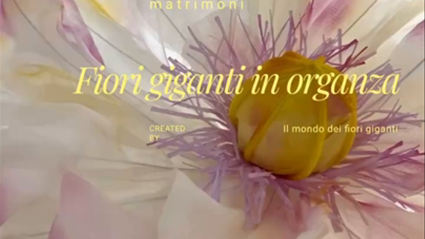 Noleggio fiori giganti in organza 