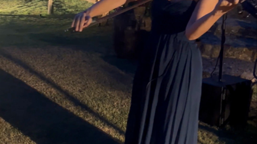 Wedding Violin 
