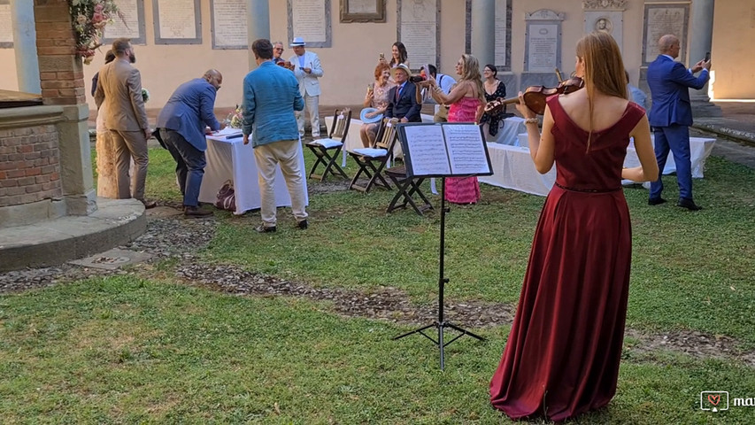 Violinista su basi