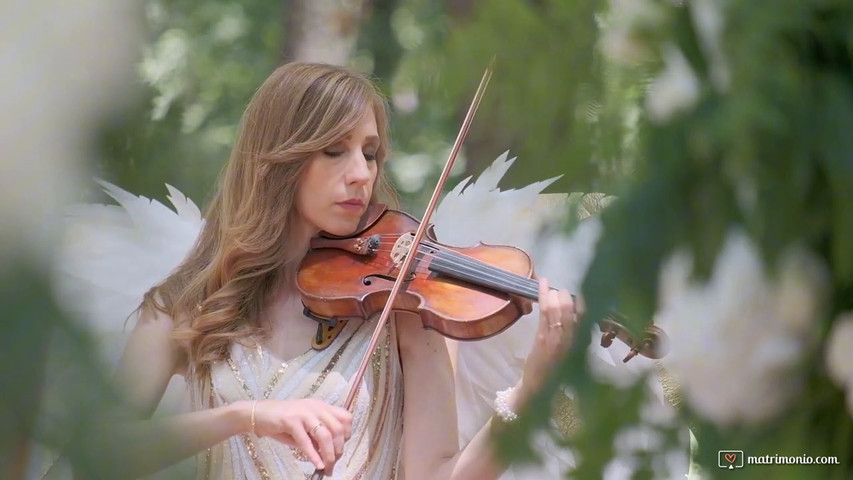 Wings violinist