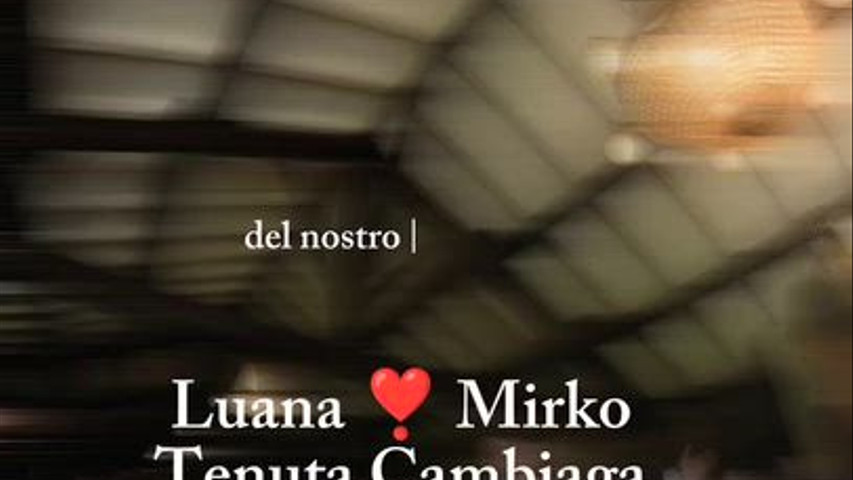 VIDEO RECENSIONE MAX LULY WEDDING DJ 