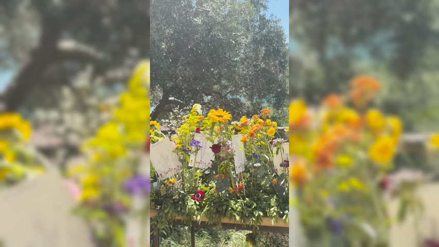MATRIMONIO IN MASSERIA