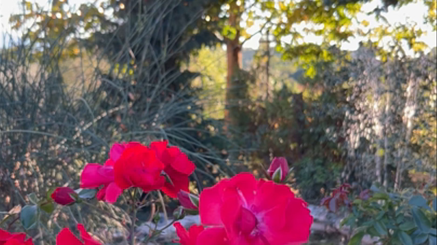 Agriturismo Belagaggio