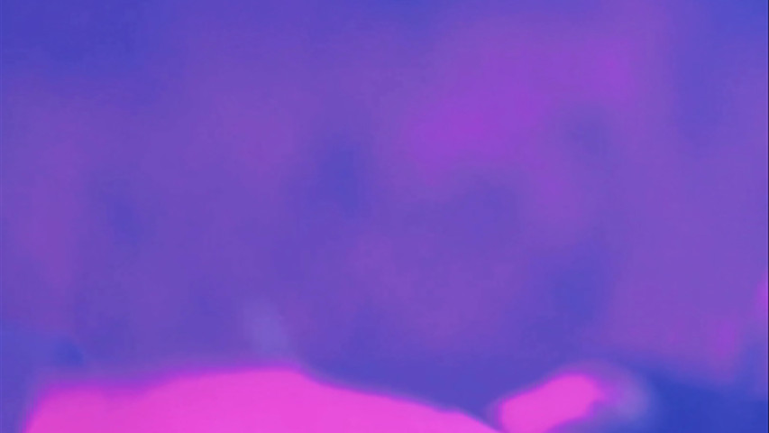Guastafeste Band
