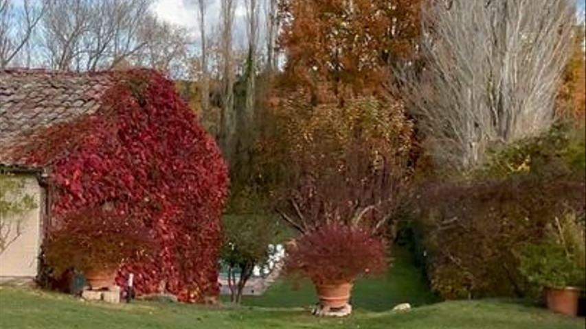 Villa Isola