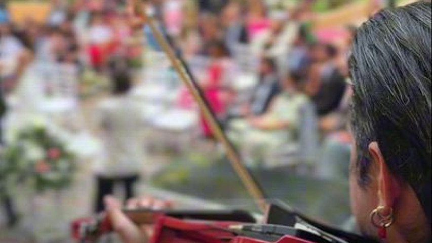 VIOLIN SESSION