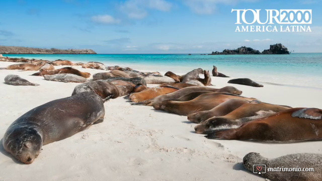 Ecuador e Galapagos