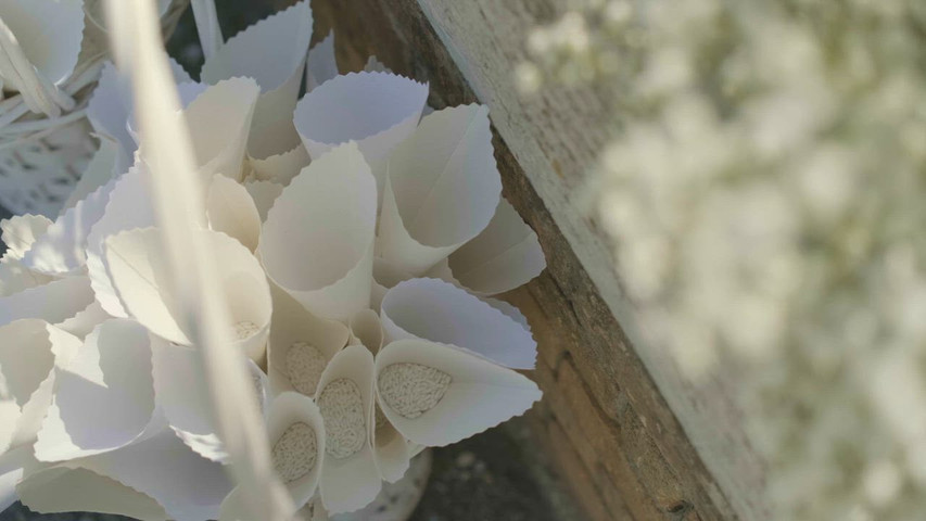 I Fiori di Lu - Videolife