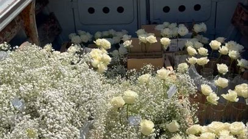 I Fiori di Lu